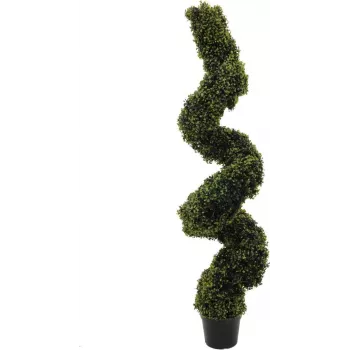 EUROPALMS dirbtinis buksmedis spiralės formos, 180 cm 82607612