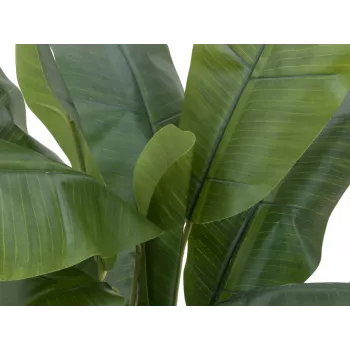 EUROPALMS dirbtinis bananų medis, 120 cm, tikroviški žali lapai, juoda vaza 82509537