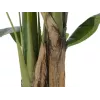 EUROPALMS dirbtinis bananų medis, 120 cm, tikroviški žali lapai, juoda vaza 82509537