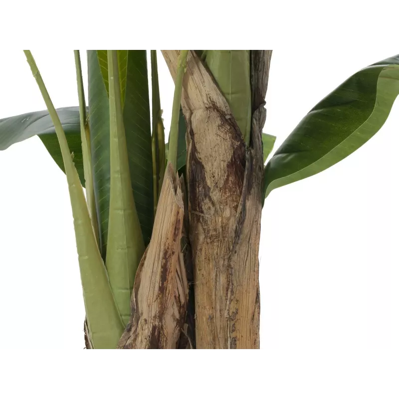 EUROPALMS dirbtinis bananų medis, 120 cm, tikroviški žali lapai, juoda vaza 82509537