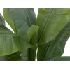 EUROPALMS dirbtinis bananų medis, 120 cm, tikroviški žali lapai, juoda vaza 82509537