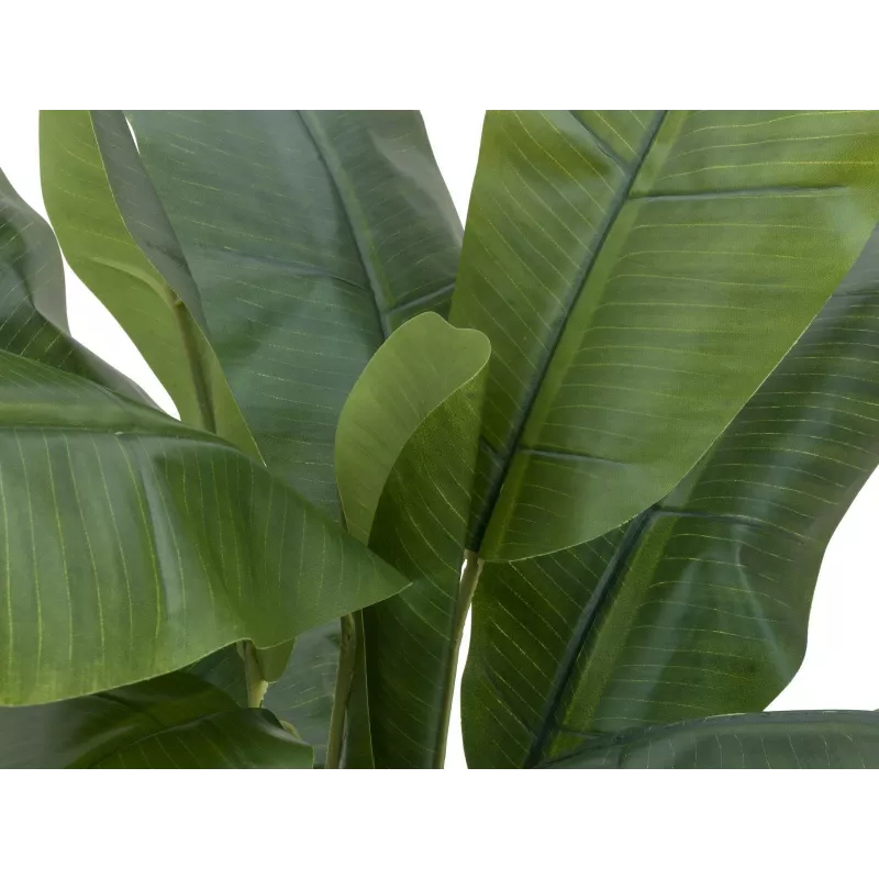 EUROPALMS dirbtinis bananų medis, 120 cm, tikroviški žali lapai, juoda vaza 82509537