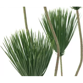 EUROPALMS Papyrus dirbtinis augalas, 130 cm 82600235