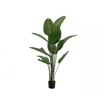 EUROPALMS Strelitzia dirbtinis augalas, 170 cm, 3 gėlės, 12 lapų, žalia/oranžinė/mėlyna, juodas vazonas 82540523