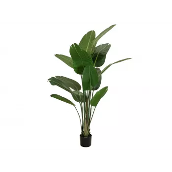 EUROPALMS Strelitzia dirbtinis augalas, 170 cm, 3 gėlės, 12 lapų, žalia/oranžinė/mėlyna, juodas vazonas 82540523