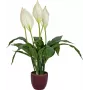 EUROPALMS dirbtinė taikos lelija, 60 cm 82505660