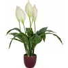 EUROPALMS dirbtinė taikos lelija, 60 cm 82505660