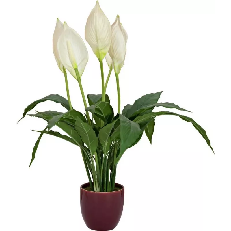 EUROPALMS dirbtinė taikos lelija, 60 cm 82505660