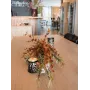 EUROPALMS dirbtinė eukalipto šakelė, oranžinė, 110cm 82505621