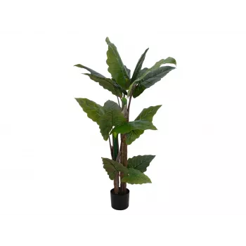EUROPALMS Alocasia dirbtinis augalas, 140 cm, žalias, juodas vazonas 82508464