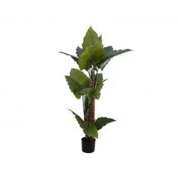 EUROPALMS Alocasia dirbtinis augalas, 140 cm, žalias, juodas vazonas 82508464