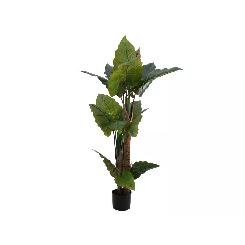 EUROPALMS Alocasia dirbtinis augalas, 140 cm, žalias, juodas vazonas 82508464