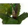 EUROPALMS Alocasia dirbtinis augalas, 140 cm, žalias, juodas vazonas 82508464