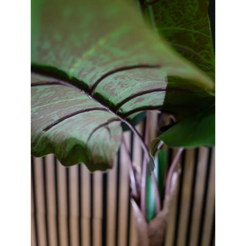 EUROPALMS Alocasia dirbtinis augalas, 140 cm, žalias, juodas vazonas 82508464
