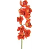 EUROPALMS Cymbidium šakelė, dirbtinė, raudona, 90cm (82530315)
