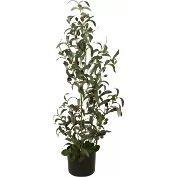 EUROPALMS Dirbtinis alyvmedis, 90 cm, plastikiniai lapai, natūralaus medžio kamienas, juoda vaza 82506422