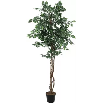 EUROPALMS Silberficus Benjamina dirbtinis augalas, 180 cm 82506116