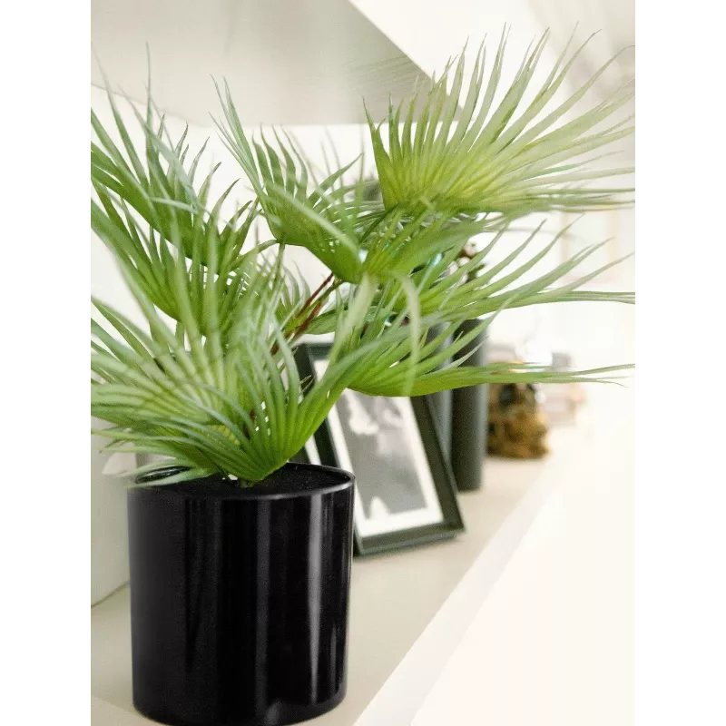 EUROPALMS dirbtinė vėduoklinė palmė vazone, 55 cm 82509401
