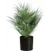 EUROPALMS dirbtinė vėduoklinė palmė vazone, 55 cm 82509401