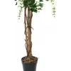 EUROPALMS Golden Rain Tree dirbtinis augalas, baltas, 150cm (82507105)
