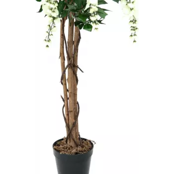 EUROPALMS Golden Rain Tree dirbtinis augalas, baltas, 150cm (82507105)