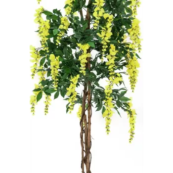 EUROPALMS Golden Rain Tree dirbtinis augalas, geltonas, 150cm 82507115
