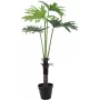 EUROPALMS Split-leaf Philodendron dirbtinis augalas, 120 cm 82600222