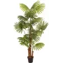 EUROPALMS dirbtinė vėduoklinė palmė, 165 cm 82509305