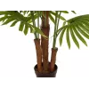 EUROPALMS dirbtinė vėduoklinė palmė, 165 cm 82509305