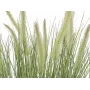 EUROPALMS Žydintys dirbtinės dekoratyvinės žolės, 70cm, balti žiedai, juodas vazonas 82600147