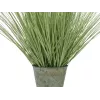 EUROPALMS Žydintys dirbtinės dekoratyvinės žolės, 70cm, balti žiedai, juodas vazonas 82600147