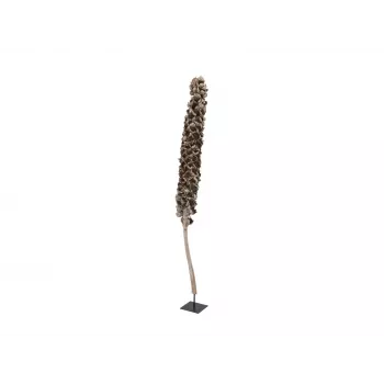 EUROPALMS Cacho Coco dirbtinė kokoso palmė, 120-190 cm, tikro medžio kamienas, 12 lapų, vidaus patalpoms 83502349