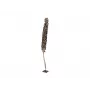EUROPALMS Cacho Coco dirbtinė kokoso palmė, 120-190 cm, tikro medžio kamienas, 12 lapų, vidaus patalpoms 83502349
