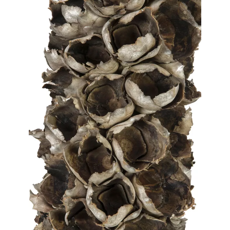 EUROPALMS Cacho Coco dirbtinė kokoso palmė, 120-190 cm, tikro medžio kamienas, 12 lapų, vidaus patalpoms 83502349