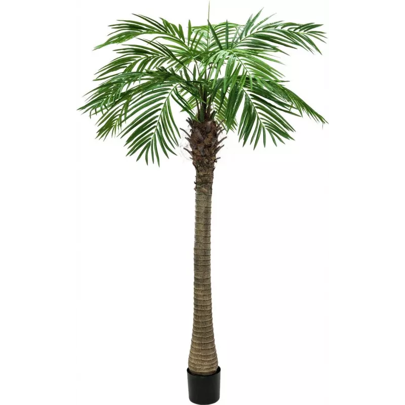 EUROPALMS Luxor dirbtinė finikų palmė, 150 cm, žalia 82510720