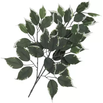EUROPALMS dirbtinė fikuso šakelė, 12 dalių rinkinys, 60 cm, žalia 82506100
