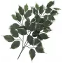 EUROPALMS dirbtinė fikuso šakelė, 12 vnt. rinkinys 82506100