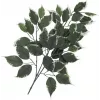 EUROPALMS dirbtinė fikuso šakelė, 12 vnt. rinkinys 82506100