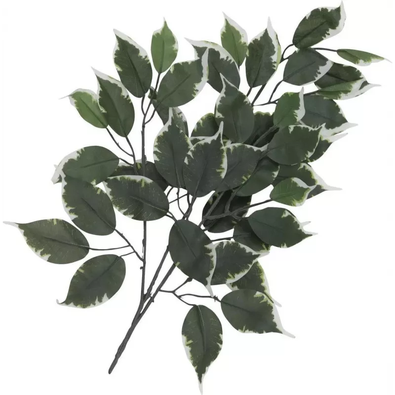 EUROPALMS dirbtinė fikuso šakelė, 12 vnt. rinkinys 82506100