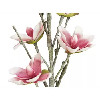 EUROPALMS dirbtinė magnolijos šakelė, EVA, balta-rožinė, 100 cm 82530587