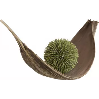EUROPALMS Succulent Ball (EVA) dirbtinis augalas, žalias, 20 cm 82531071