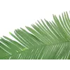 EUROPALMS dirbtinė kokoso karališkosios palmės lapas, 180cm 82509847