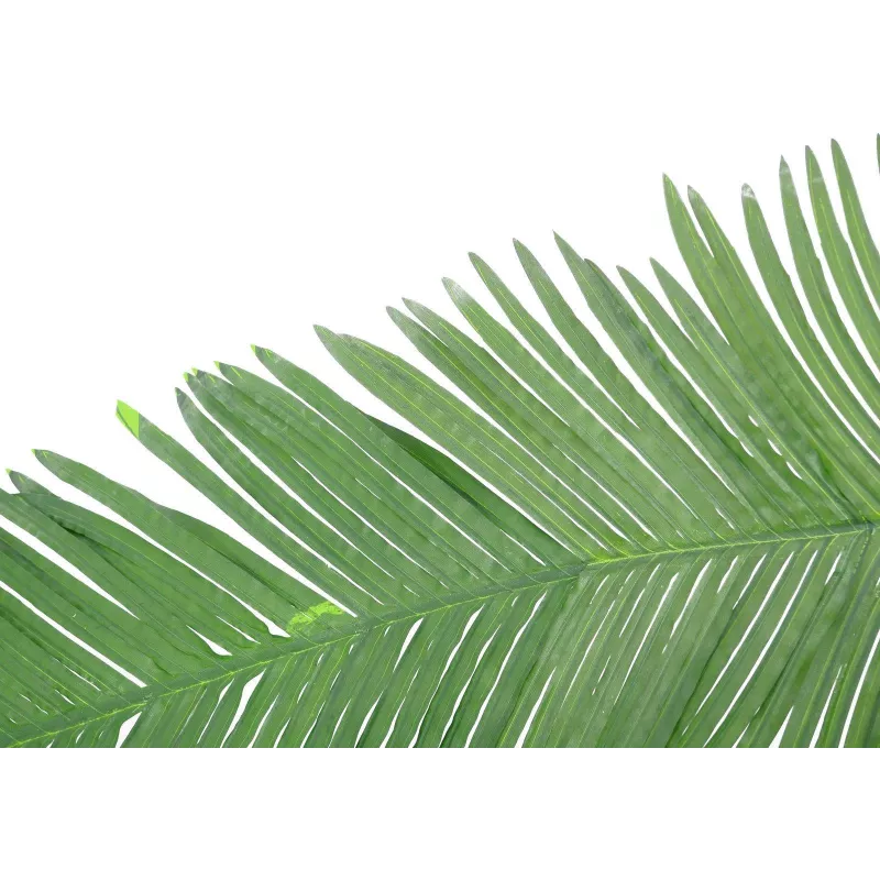 EUROPALMS dirbtinė kokoso karališkosios palmės lapas, 180cm 82509847