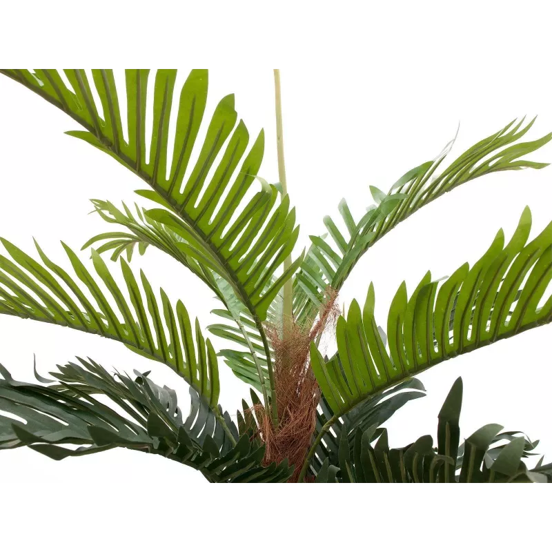 EUROPALMS dirbtinė Kentia palmė, 150 cm 82511366