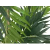 EUROPALMS Parlour Palm dirbtinis augalas, 150cm 82509495