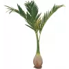 EUROPALMS Phoenix Palm dirbtinis augalas, 240cm 82511353