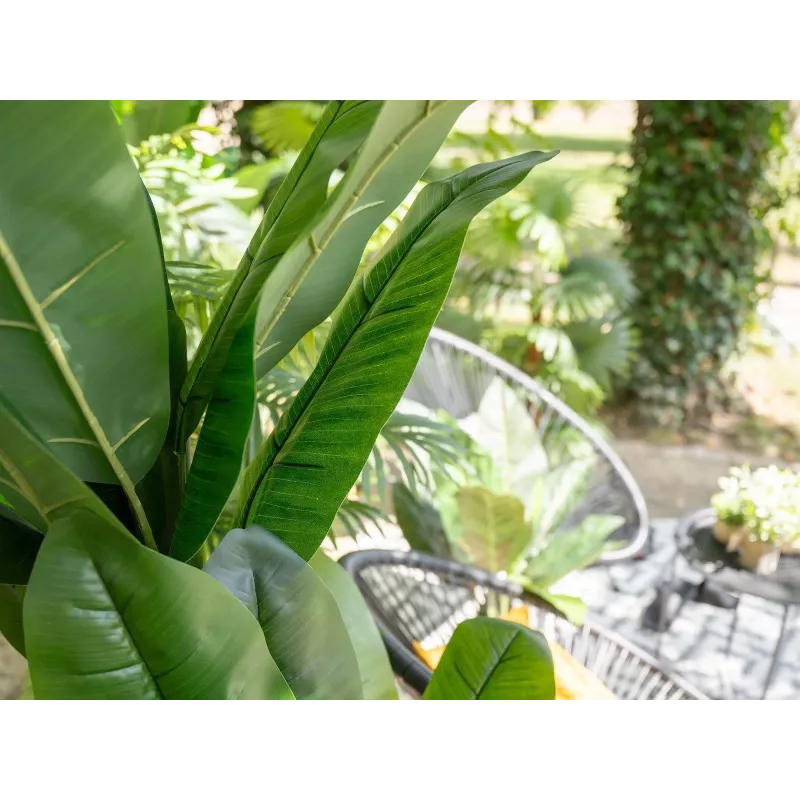 EUROPALMS dirbtinis bananų medis, 210 cm, 82509507