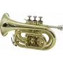 DIMAVERY TP-300 Bb kišeninė trimito, auksinio lako 26503720