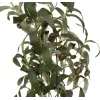EUROPALMS dirbtinis alyvmedis, 104 cm 82506423