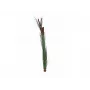 EUROPALMS Dirbtinė nendrių žolė su šiurkščiaisiais vikšriais, tamsiai žalia, 152 cm 82505854